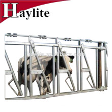 Cheville de vache laitière d&#39;équipement de panneau de bétail bétail à vendre